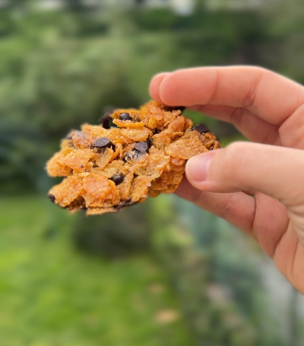 Crunchy chocolat noir 70%