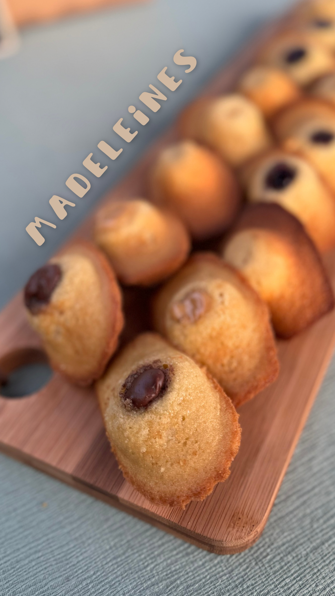 12 madeleines nature