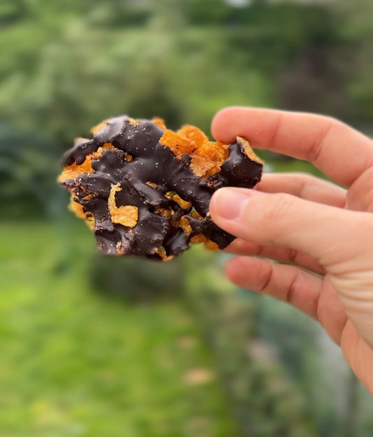 Crunchy chocolat noir 70%